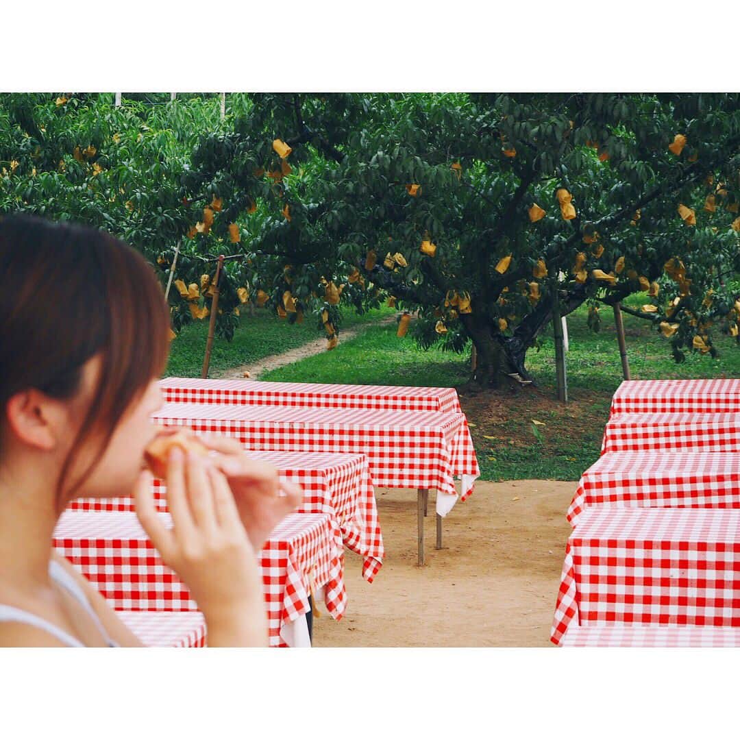 姫野れみのインスタグラム：「桃ちゃんがぶり🍑。 #西山ファーム #果実の実家 #桃 #桃狩り #果物狩り #白桃 #清水白桃 #岡山 #果物 #peach #snidel #スナイデル #セットアップ」