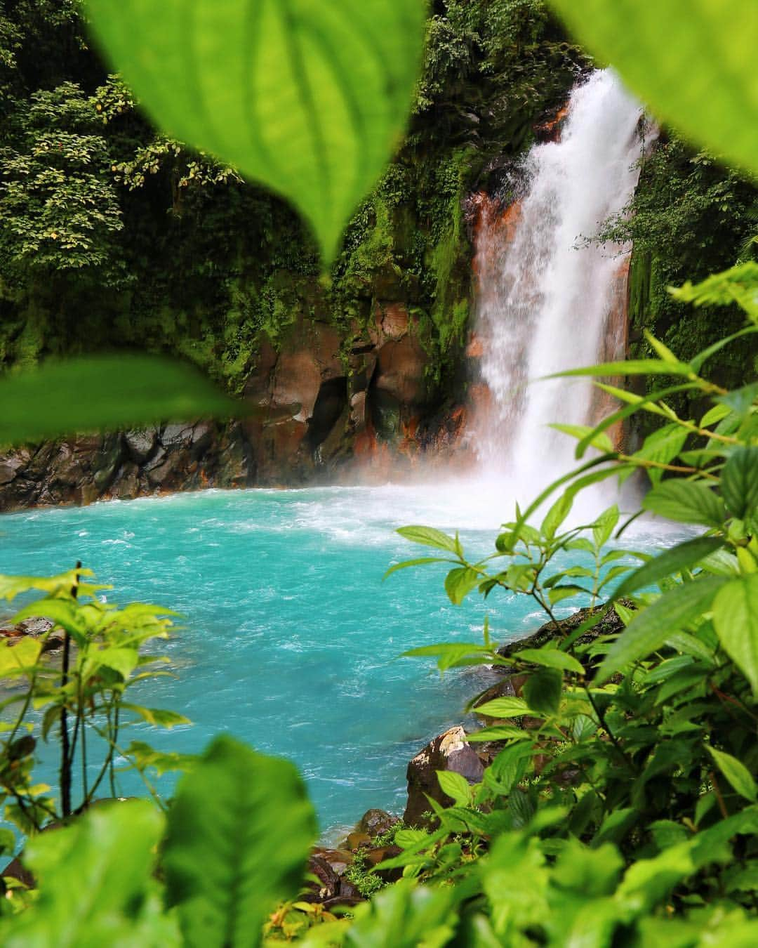 missjetsetterさんのインスタグラム写真 - (missjetsetterInstagram)「I captured this shot while hiking through Tenorio Volcano National Park, where you can find Rio Celeste River, known for its stunning blue color!💙 You would never know that we were caught in a tropical storm just minutes before this capture, hiking in knee deep mud😱 But the moment we reached the waterfall it was all worth🏆 And on our way back from our trek we came across all types of flora & fauna🌺 Make sure to follow along on @travelchannel Instagram Stories today as I take you through this beautiful country🌴🇨🇷 #PuraVidaLife」8月24日 0時38分 - missjetsetter