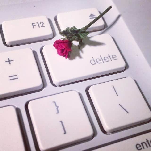 イ・ヒョヌのインスタグラム：「Rose, 꽃」