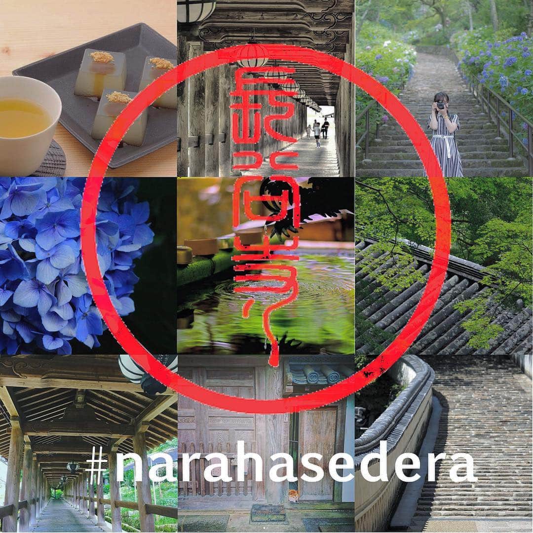 奈良 長谷寺 / nara hasederaのグルメインスタ