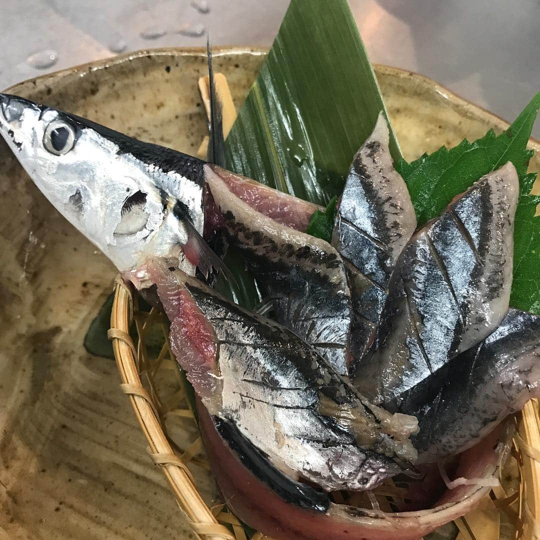 魚富商店 北浜店のインスタグラム：「今日わぁ！魚富商店ですっ！(*´∇｀*)先日はお客様の要望もあり、秋刀魚のお造りを提供致しましタァ！喜んで頬張っていただけましタァ！要望等出来る事は提供致しますっ！ご来店お待ちしてますねぇ！(● ˃̶͈̀ロ˂̶͈́)੭ꠥ⁾⁾ #飲み放題 #飲み放題プラン  #北浜 #淀屋橋 #居酒屋 #サンマ #秋刀魚 #魚富 #魚富商店」