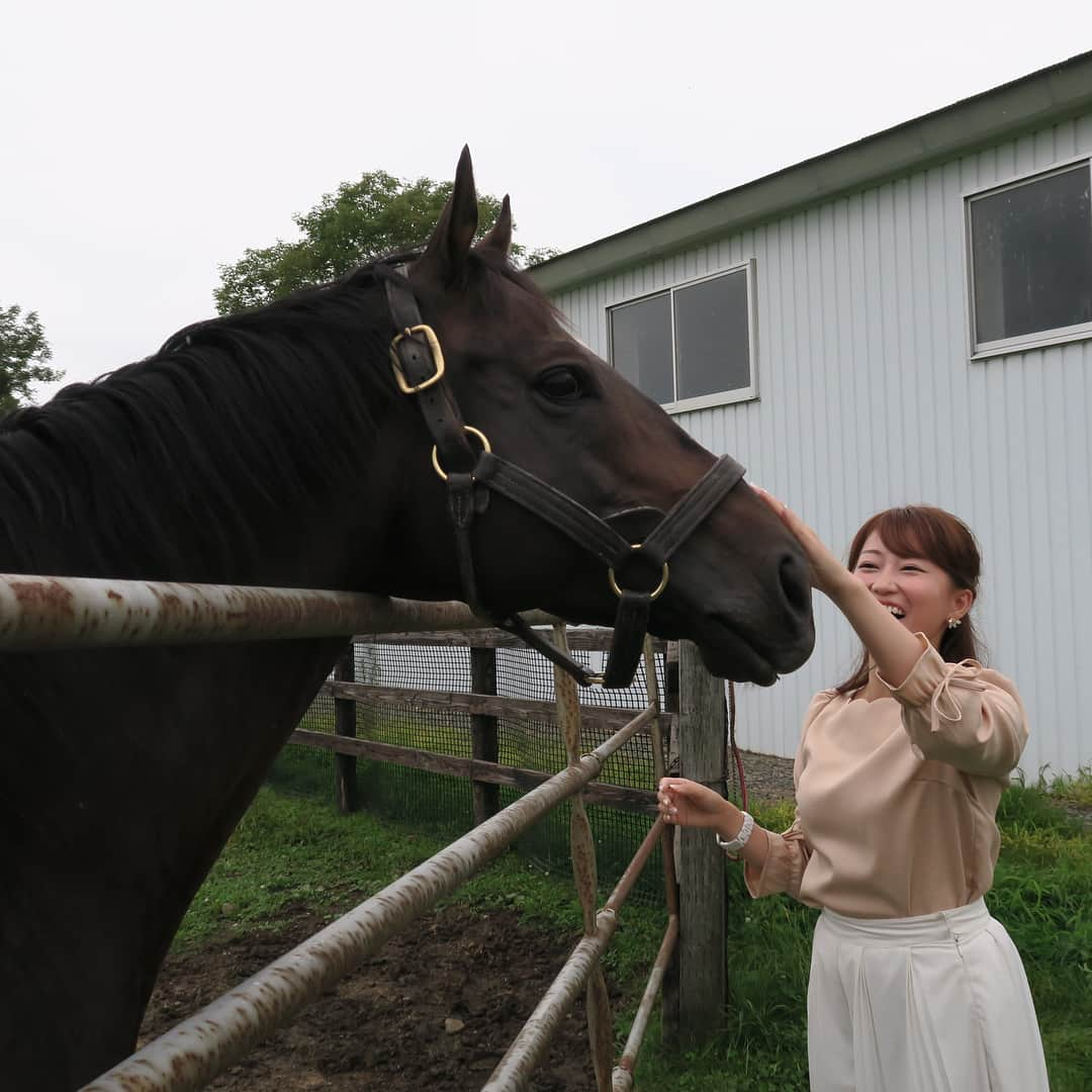 津田麻莉奈さんのインスタグラム写真 - (津田麻莉奈Instagram)「この旅の個人的メインイベントは…‼️ 私を競馬の世界へ導いてくれた世界一大好きな馬🐎✨ #トゥザグローリー に2年ぶりに会う事☺️ ⁑ 相変わらず元気で可愛くてヤンチャで、 大好きな彼の姿がそこにありました…☺️💓 ⁑ 写真4枚目👉スワイプしてね👉 「ばいばい、またね。」って言ったら、 アゴをちょこんと乗せて見送ってくれた😚 ⁑ お世話になった関係者の皆さま✨ イーストスタッドの皆さま✨ ありがとうございました‼️ ⁑ #津田グローリー #ツダグローリー #競馬 #keiba #馬 #totheglory #horse #horseracing #instahorse #北海道 #浦河 #hokkaido #summersale  #サマーセール #津田麻莉奈 #まりなる」8月24日 20時07分 - tsudamarinal