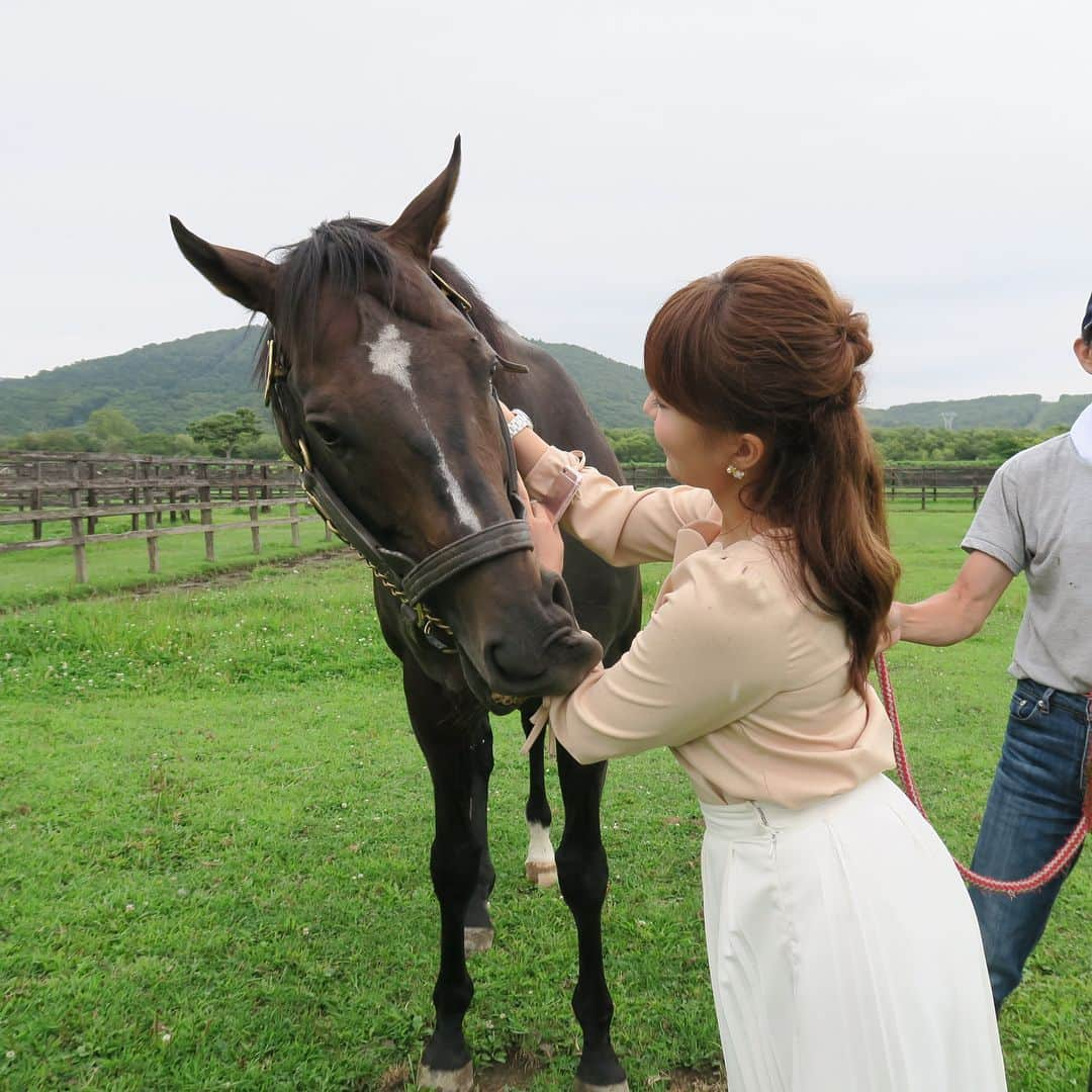 津田麻莉奈さんのインスタグラム写真 - (津田麻莉奈Instagram)「この旅の個人的メインイベントは…‼️ 私を競馬の世界へ導いてくれた世界一大好きな馬🐎✨ #トゥザグローリー に2年ぶりに会う事☺️ ⁑ 相変わらず元気で可愛くてヤンチャで、 大好きな彼の姿がそこにありました…☺️💓 ⁑ 写真4枚目👉スワイプしてね👉 「ばいばい、またね。」って言ったら、 アゴをちょこんと乗せて見送ってくれた😚 ⁑ お世話になった関係者の皆さま✨ イーストスタッドの皆さま✨ ありがとうございました‼️ ⁑ #津田グローリー #ツダグローリー #競馬 #keiba #馬 #totheglory #horse #horseracing #instahorse #北海道 #浦河 #hokkaido #summersale  #サマーセール #津田麻莉奈 #まりなる」8月24日 20時07分 - tsudamarinal