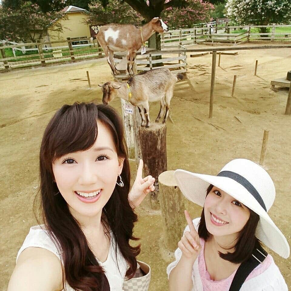 玉木碧のグルメインスタ