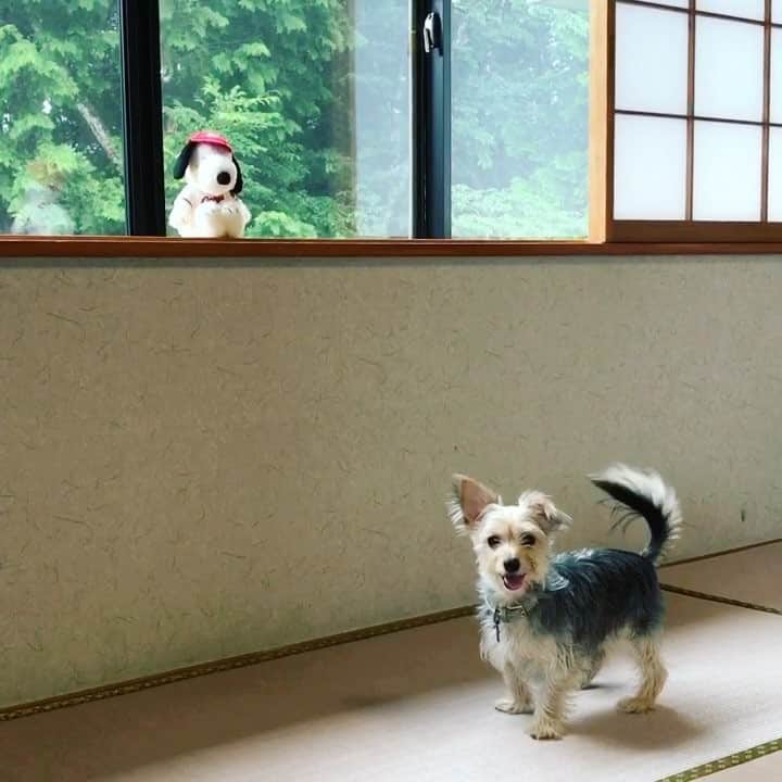 Willy Wonkaのインスタグラム