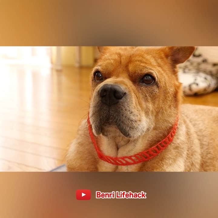 便利ライフハックのインスタグラム
