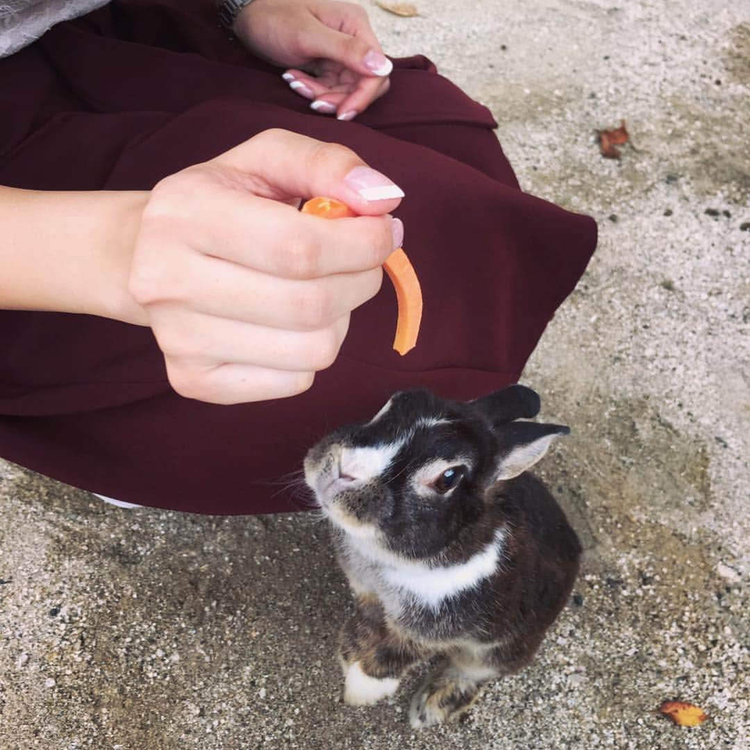 七瀬ひとみのインスタグラム：「きゃわーーー！🐰 #動物園 #動物園日和 #茨城 #牛久 #牛久大仏 #うさぎ #もふもふ #癒される」