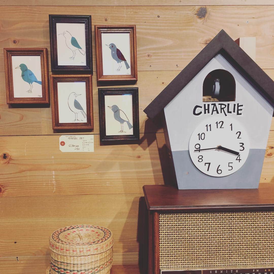 花井祐介さんのインスタグラム写真 - (花井祐介Instagram)「鳩時計に合わせて5点だけ鳥の絵描きました。」8月26日 13時56分 - hanaiyusuke