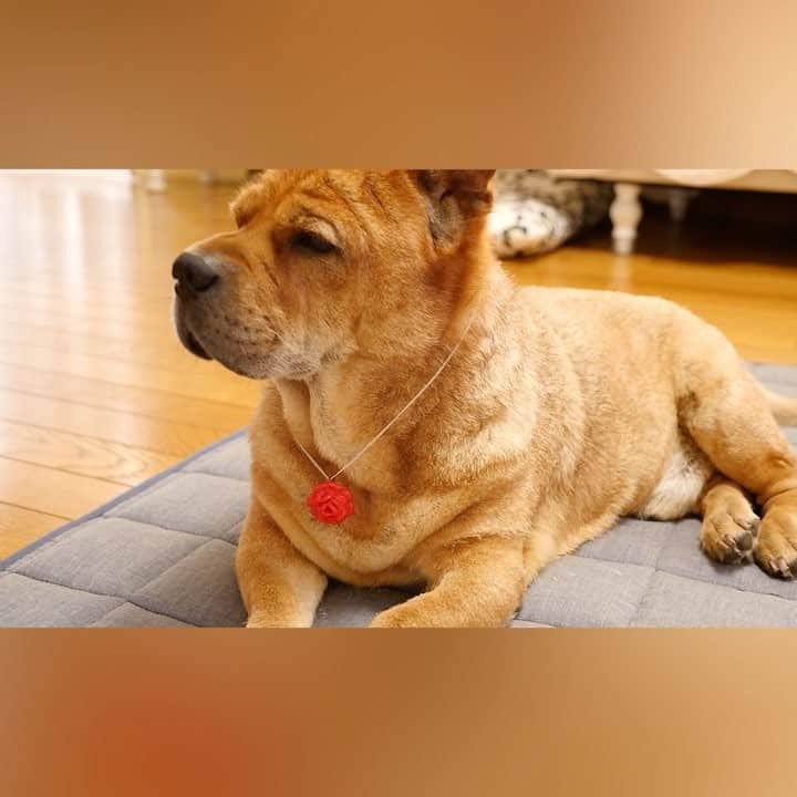 便利ライフハックのインスタグラム