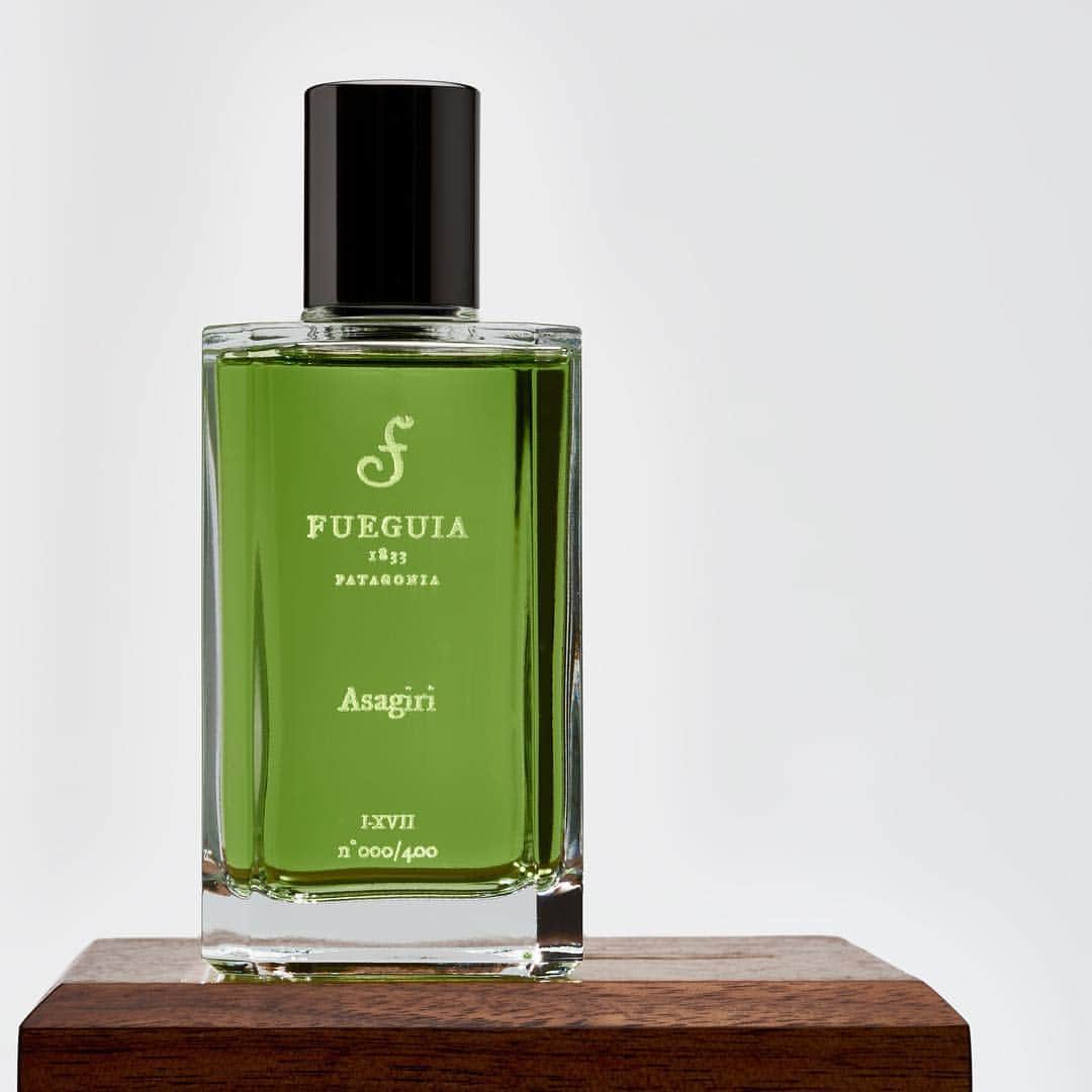 Fueguia Japanのインスタグラム：「長谷川等伯が松林図屏風に描いた世界。ベデルが描いた日本。 芸術の秋。ASAGIRIを纏う。ベデルそして等伯に誘われ、日本文化や歴史を、芸術で辿る旅をする。先祖古来から受け継ぐ感性のDNAを辿る旅を....。 #fueguia #fueguia1833 #julianbedel #tohakuhasegawa #長谷川等伯 #asagiri #朝霧 #松林図屏風 #アート #芸術の秋 #香り」