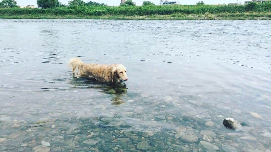 BETTYのインスタグラム：「なつのおもひで」