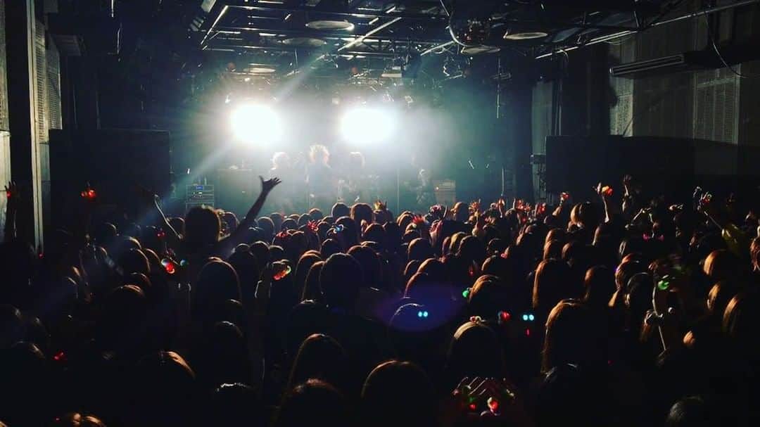 カメレオのインスタグラム