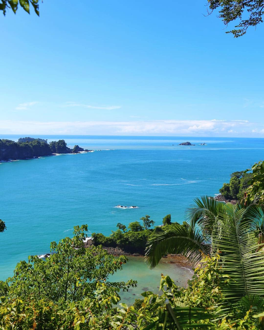 missjetsetterのインスタグラム：「Beautiful shades of greens & blues while enjoying the view from one of Manuel Antonio National Park's view points😍 Getting to the park as it opened was definitely the best idea💯 As we headed out around noon we were just missing huge crowds of tour groups, and it isn't even high season yet😱  Huge thanks to @uniqueadventurescr & @visitcostarica_pr for making my first time in Costa Rica so magical!🇨🇷 #PuraVidaLife #PuraVida」