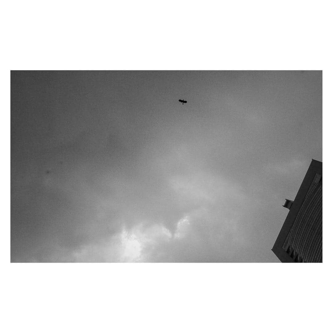 志磨遼平さんのインスタグラム写真 - (志磨遼平Instagram)「新宿を飛んだ鳥 II.」8月28日 3時23分 - ryohei_shima_thedresscodes