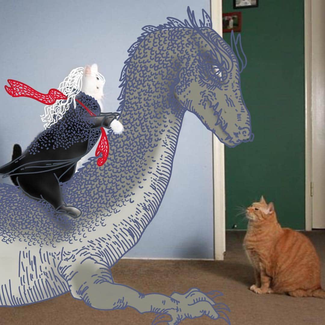 Bob And His Humanさんのインスタグラム写真 - (Bob And His HumanInstagram)「Time to bend the knee. #got #gameofthrones」8月28日 12時39分 - idraw_on_cats