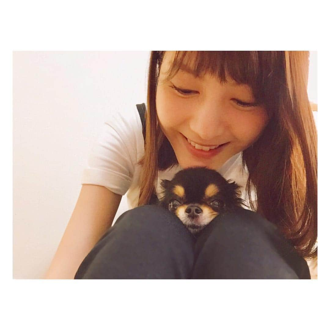 佐藤ありささんのインスタグラム写真 - (佐藤ありさInstagram)「くぅちゃん♡ いい感じにおさまってる☺️」8月28日 20時19分 - satoarisa920