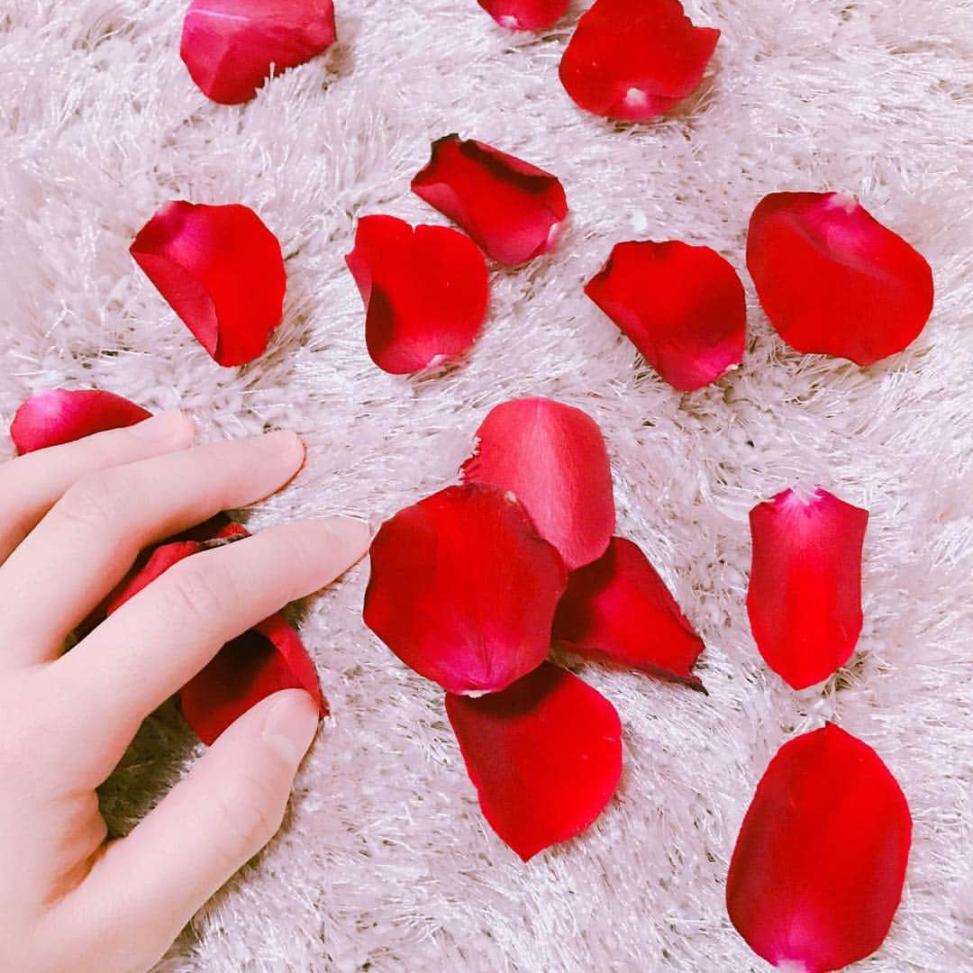 長澤茉里奈さんのインスタグラム写真 - (長澤茉里奈Instagram)「ファンの方にもらったバラが散ってしまった....悲しい」8月28日 21時16分 - marinanagasawa1008
