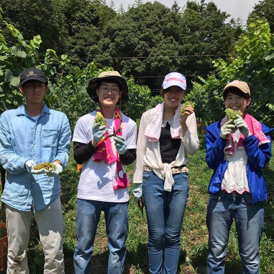 神戸学院大学のインスタグラム