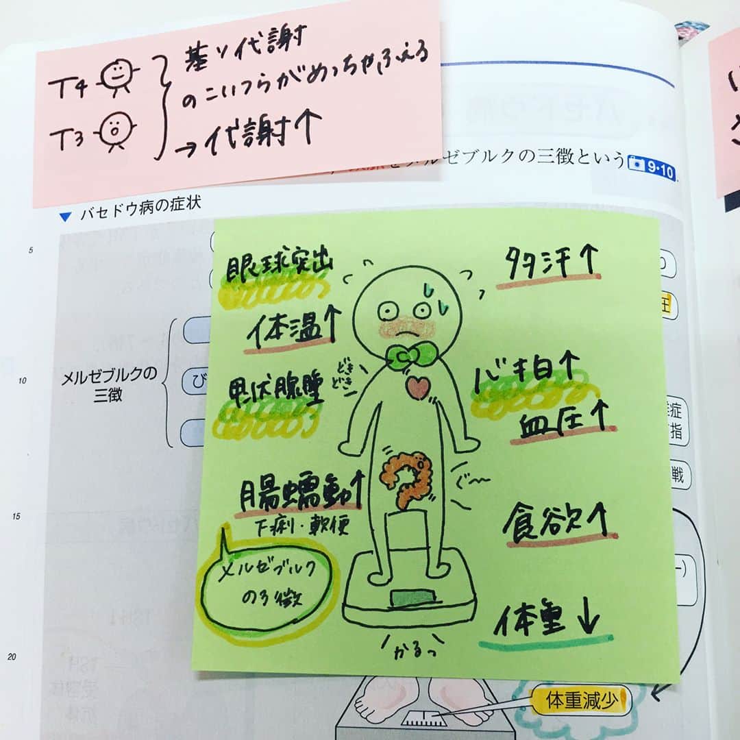 ネコナースさんのインスタグラム写真 ネコナースinstagram 先輩たちのレビューブック 今日紹介する先輩は バセドウ病の患者さんの イラストを追加 実はこれ レビューブックのd 21にすでにイラストがあるんですが それを自分のイラストに書き直しているそう
