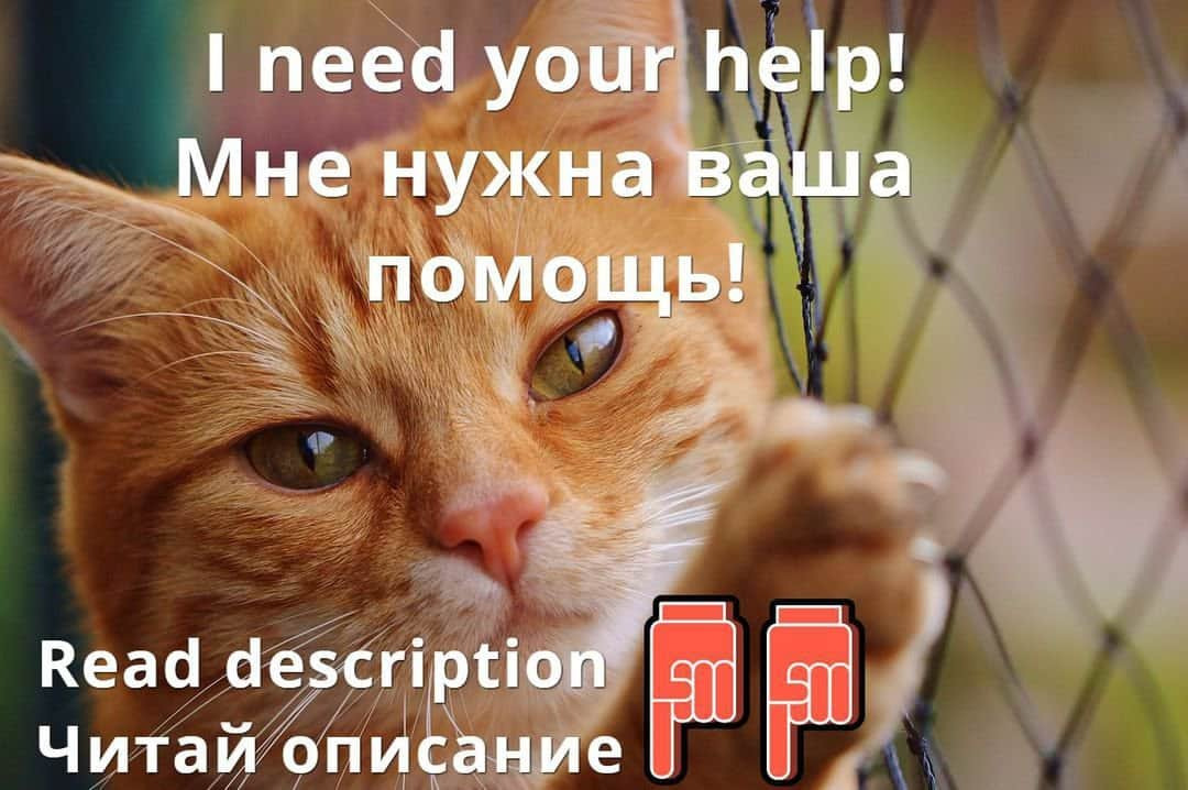 Любители котиковのインスタグラム：「English(на русском ниже) Hello! Unfortunately i need leave my home and internet for 1 year. So! If you want this profile work please send your photos of cats(only yours) to my email epicadtv@gmail.com with your nickname. Example: -Photo of your cat(or link to photo in Instagram) -Your nickname (like @bestcatsinsta) I will send this photos to auto posting and they will be published. Thank you!  Привет! К сожалению, мне придётся покинуть дом и интернет на 1 год. Поэтому, если вы хотите, чтобы фото котов публиковались в моё отсутствие - присылайте ваши фото котов(сделанные вами, не из интернета) на почту epicadtv@gmail.com с никнеймом Инстаграма. Пример: -Фото вашего кота/кошки (или ссылка на фото в Инстаграм) -Ваш никнейм в Инстаграм ( например @bestcatsinsta В таком виде) Я скину эти фото в сервис постинга и они опубликуются со временем. Спасибо!」