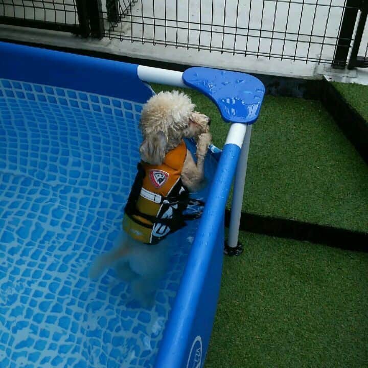 金村義明のグルメインスタ