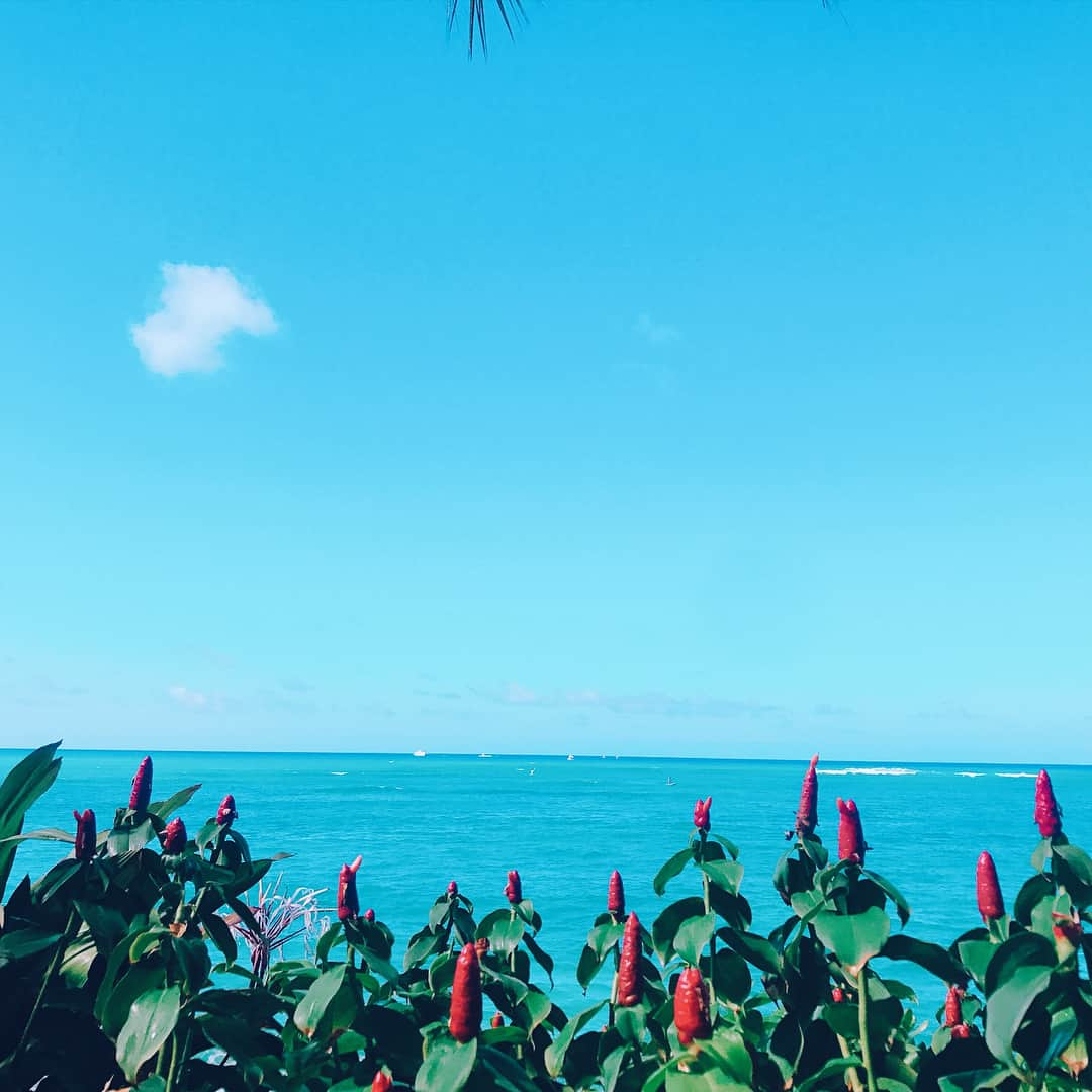 植田せいらのインスタグラム：「🐚 ・ ・  たくさん遊んだ夏休みもお終い！！！ またすぐにでも休みたいわ♡😂 ・ ・  #夏休み2017 #思い出 #夏休みも終わり #ハワイ #seiratrip #hawaii #summervacation #boysmom #instadaily」