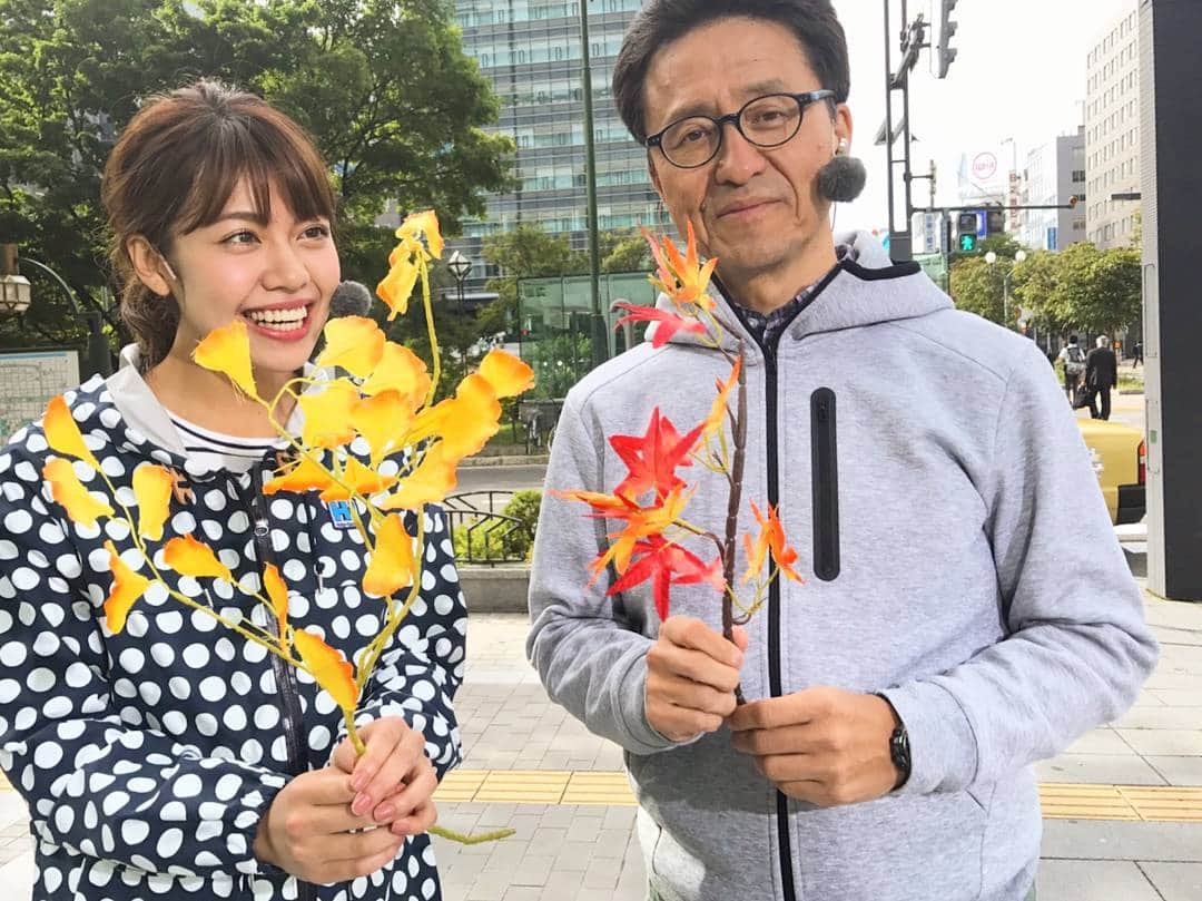 北海道テレビ「イチオシ！モーニング」のグルメインスタ