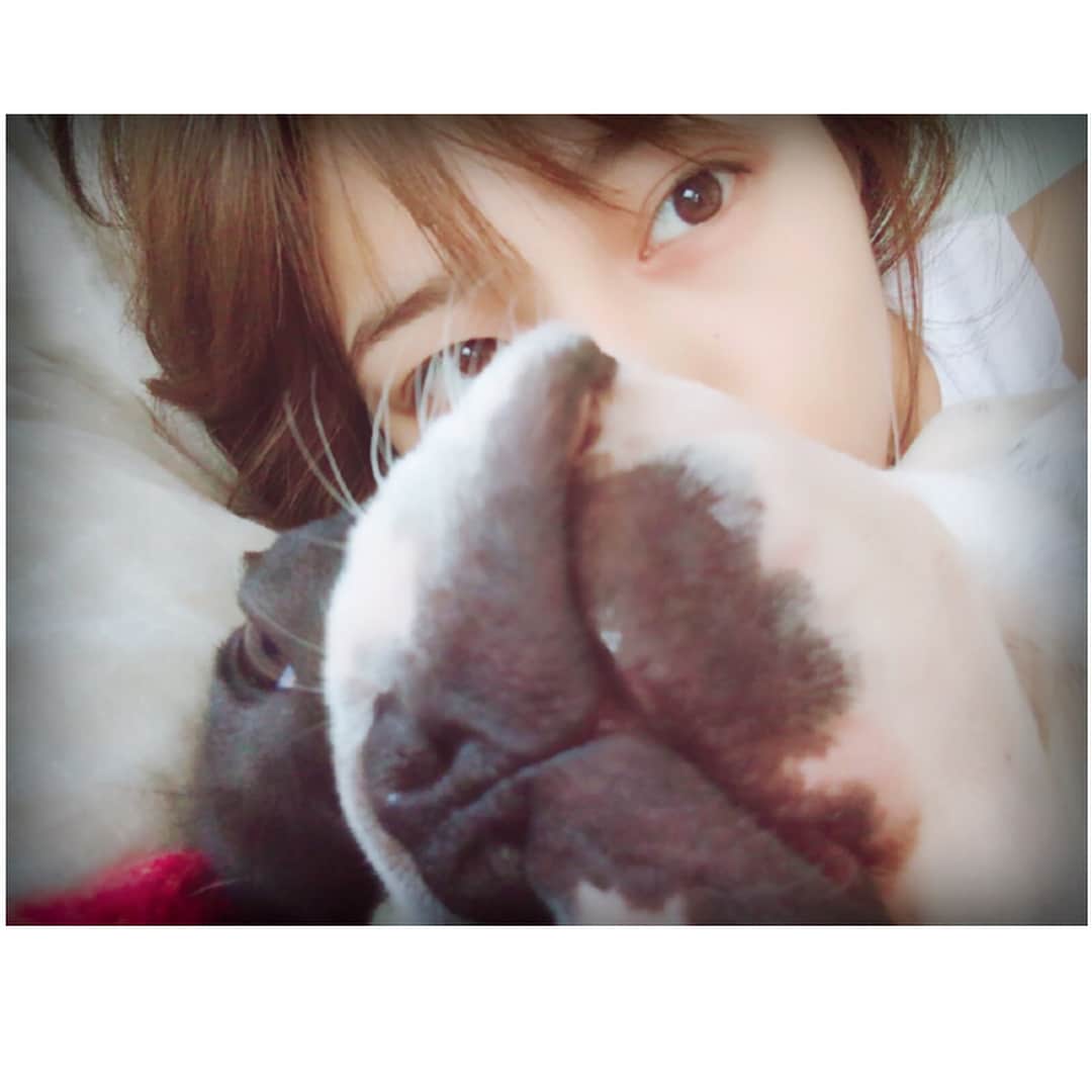 川口春奈さんのインスタグラム写真 - (川口春奈Instagram)「終わりよければすべてよし☺︎ お腹いっぱいで 寝られる…食べることと寝ることは至福の時。たまんない。」8月31日 1時14分 - haruna_kawaguchi_official