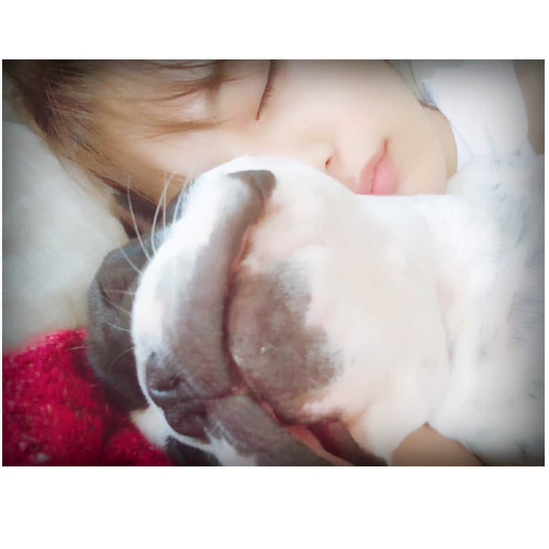 川口春奈さんのインスタグラム写真 - (川口春奈Instagram)「終わりよければすべてよし☺︎ お腹いっぱいで 寝られる…食べることと寝ることは至福の時。たまんない。」8月31日 1時14分 - haruna_kawaguchi_official