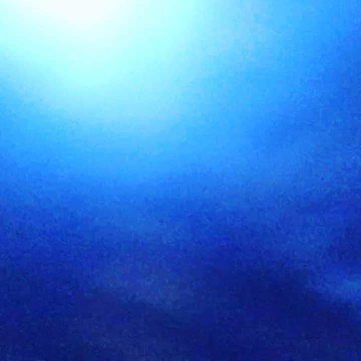 ヨシミナオヤのインスタグラム：「【今日のLOVESICK】 ありがとう3969！！ 新木場暑かったー！！ 最高の景色をありがとう。 『あなたのハートマークだけが欲しかった』」