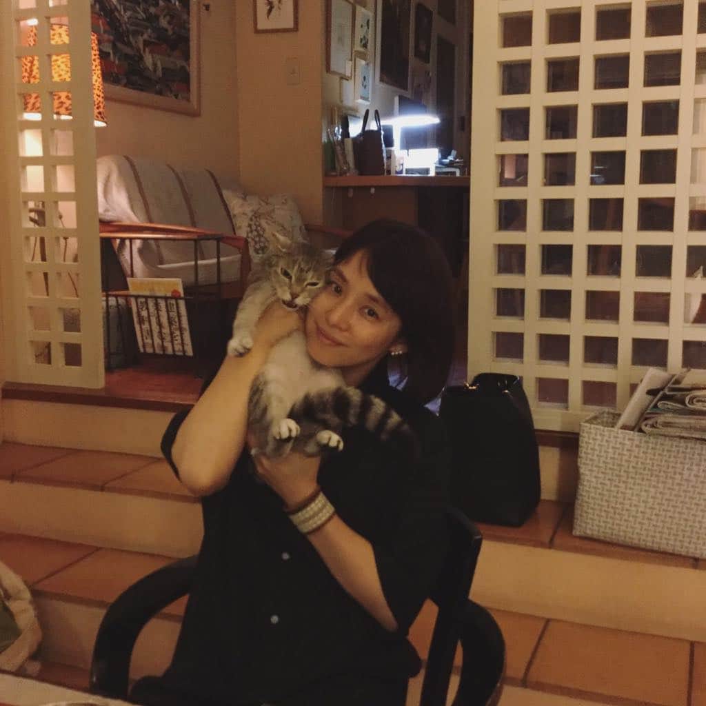 のインスタグラム：「素敵なディナーにお呼ばれ。 礼子さんいつもごちそうさまです。 この美人さん猫は グレコといいます。」