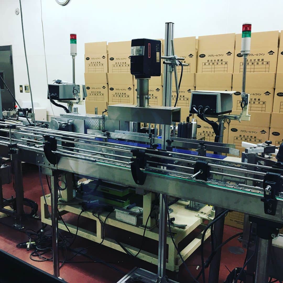 ひぐち君さんのインスタグラム写真 - (ひぐち君Instagram)「フジッコワイナリーにて、甲府盆地を見下ろしながら、乾杯。醸造長の鷹野ひろ子さん、ショップ担当の久木元さんに案内していただきました。 まずは山梨7軒の契約農家栽培のデラウェアが入ったステンレスタンク。12000本のワインに。 手で除梗した、山梨のソーヴィニヨンブランの果汁。 このステンレス樽はソーヴィニヨンブラン用。 年間27万本のワインがここで生まれます。 瓶熟成2ヶ月でワインを落ち着かせ、香りを戻します。 9人の社員さんが、26軒ほどの契約農家さんのお手伝いをしながら、全て日本の葡萄(ほとんど山梨)でワインを造っています。 #fujiccowinery #フジッコワイナリー #山梨県 #甲州市 #勝沼町 #wine #vin #winery #wineexpert #ワインエキスパート #japanesewine #日本ワイン」9月1日 11時40分 - higehiguchi