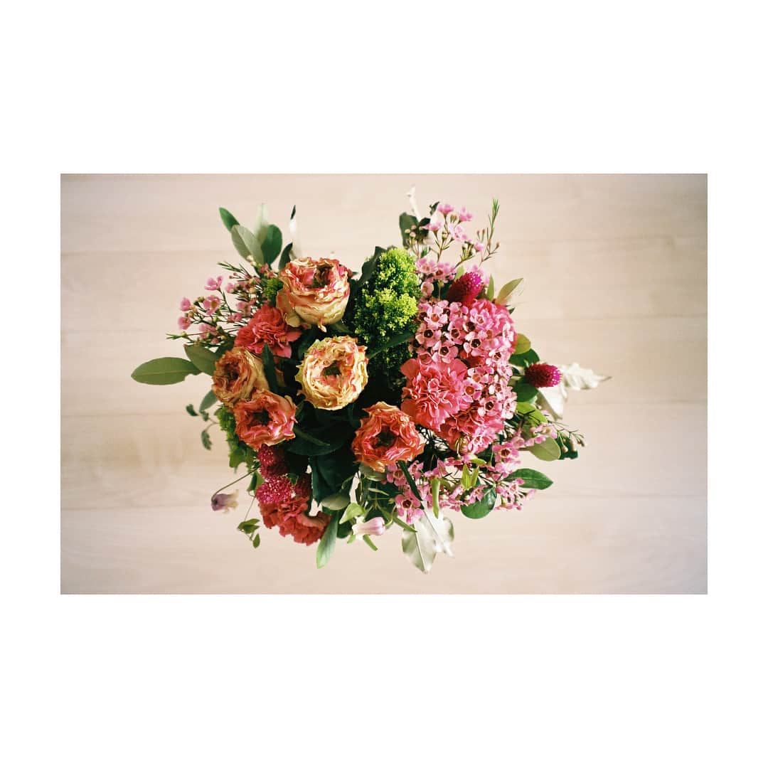 芳根京子さんのインスタグラム写真 - (芳根京子Instagram)「いつもNewDaysの撮影の時頂くお花が綺麗で楽しみなのです☺︎ 今回も素敵でした。 ありがとうございます！  #film #NewDays」9月2日 20時16分 - yoshinekyoko