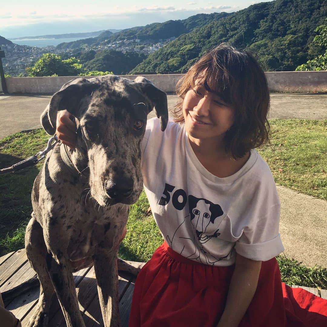 風間ゆみえのインスタグラム：「赤いスカートのせいね、ハイジとヨーゼフ感(笑)” #グレートデン #TENT #てんてん」