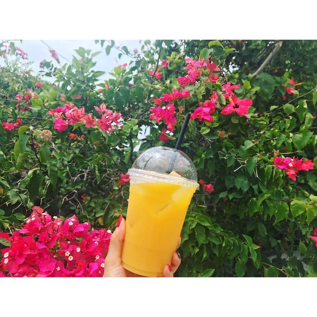 Marinaさんのインスタグラム写真 - (MarinaInstagram)「🍊🌺 . . #orangejuice #orange  #ハイビスカス  #沖縄 #okinawa  #instagood #instaphoto」9月3日 17時06分 - aldiousmarina