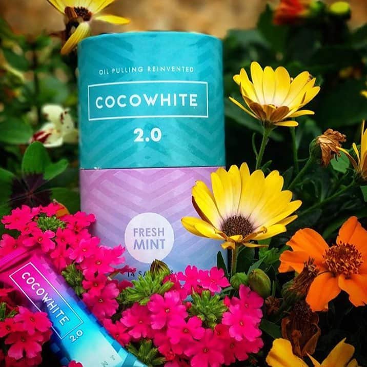 CocoWhiteのインスタグラム：「It may not feel like summer anymore in the UK, but you can keep those pearly whites bright all year round with Cocowhite 😏 cocowhite.com」