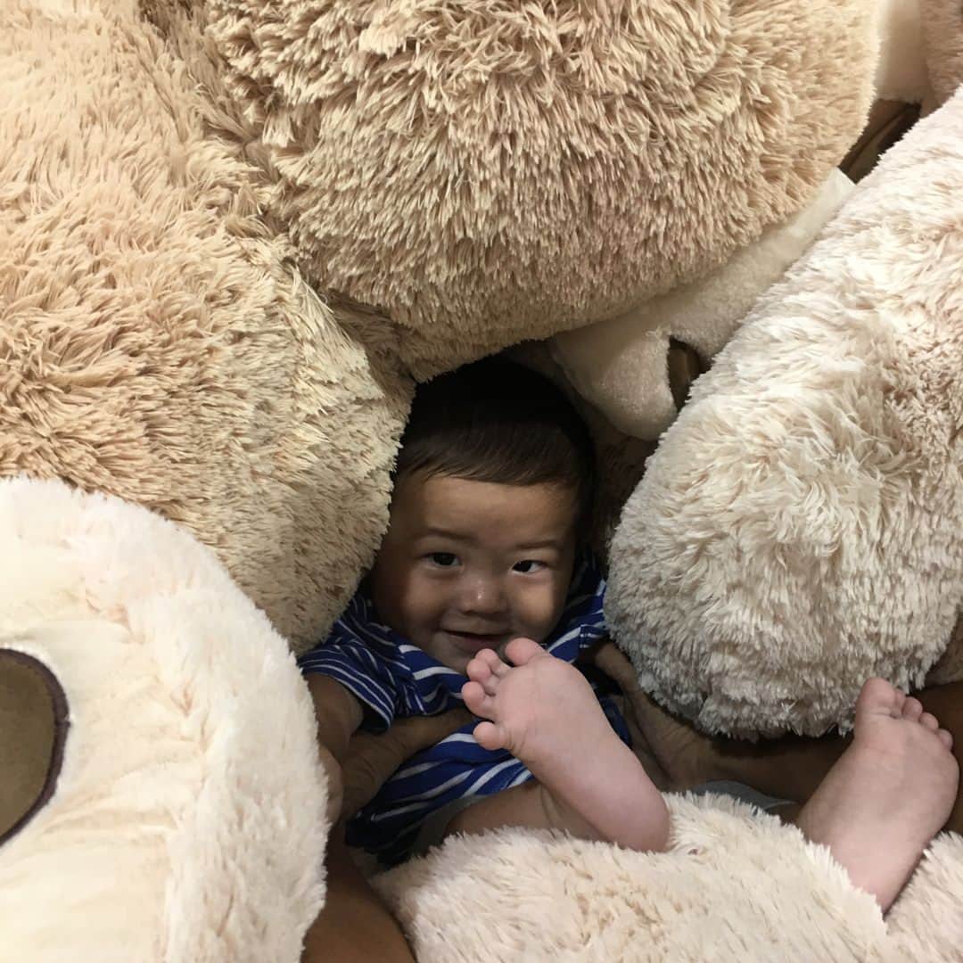前田直輝さんのインスタグラム写真 - (前田直輝Instagram)「クマの人形に囲まれる息子笑 いなくなりそうだったー笑」9月7日 15時24分 - naoki112738