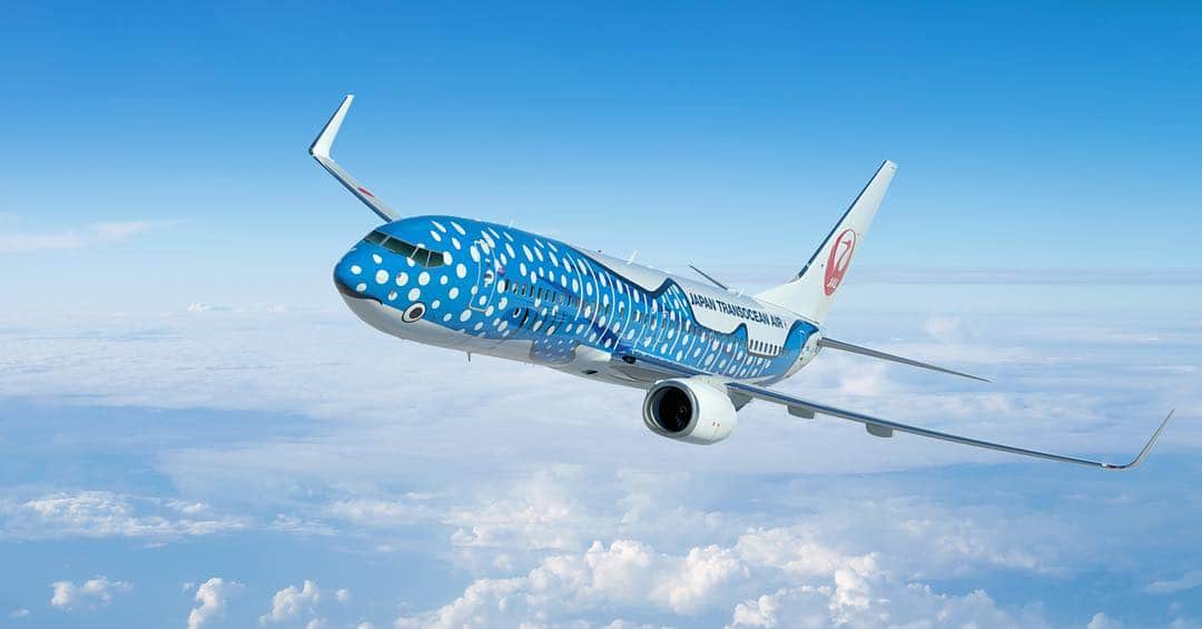 JALさんのインスタグラム写真 - (JALInstagram)「Bright blue boy, on a brand new journey✈️ #新ジンベエジェット #飛行機 #沖縄 #空 #旅 #JinbeiJet #WhaleShark #renewal #okinawa #blue #airplane #japan #JTA #JAL #FlyJAL #JapanAirlines」9月8日 18時25分 - japanairlines_jal