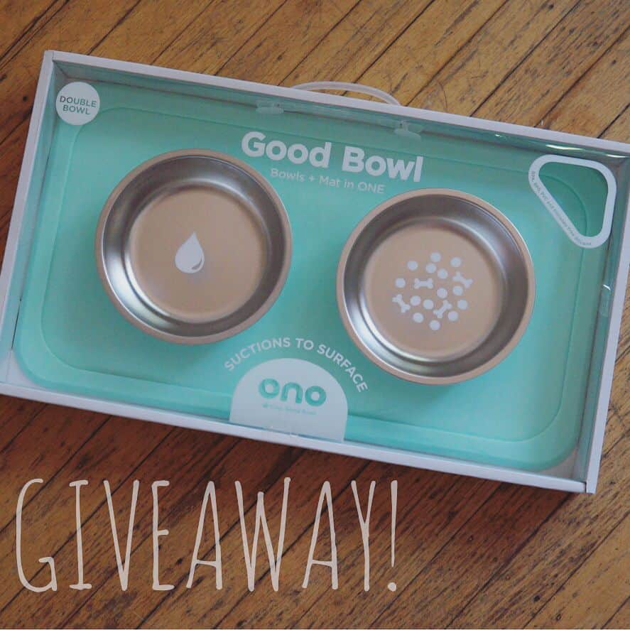 Loki the Corgiさんのインスタグラム写真 - (Loki the CorgiInstagram)「🚫 GIVEAWAY CLOSED! 🚫 - We have partnered with @onofriends to give away (1) The Good Bowl (Double), which is an all-in-one silicone mat that suctions to the floor with 2 stainless steel bowls. The winner will get to choose from 4 colors (swipe left). - To enter you must: 1️⃣ FOLLOW @onofriends & @lokistagram , AND 2️⃣ LIKE this post & COMMENT below to let us know you have entered! - Contest ends Thursday 9/14 at 6 pm PST. The winner will be chosen at random, notified through DM, and announced on this post. 😊 Good luck! *US/Canada only.  Winner: @taylorannedwards , pls check your DM :) For those who wish to purchase an Ono bowl, feel free to use the promo code CORGI10 to get 10% off your purchase.」9月9日 6時43分 - corgistagram