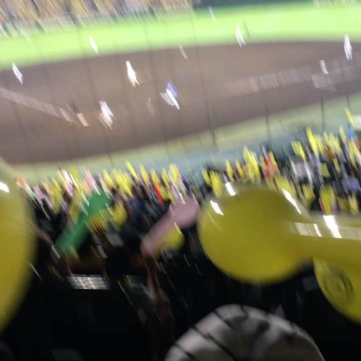GENKIハシモトのインスタグラム：「勝鬨の瞬間。 鳥谷2000本おめでとう！ #甲子園#甲子園球場 #阪神タイガース」