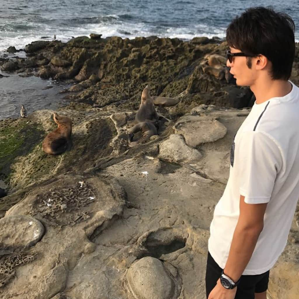 入江陵介さんのインスタグラム写真 - (入江陵介Instagram)「Hello sea lion😗  #野生のアシカ #多過ぎる #朝練きつかった #sandiego」9月9日 7時58分 - ryosuke_irie