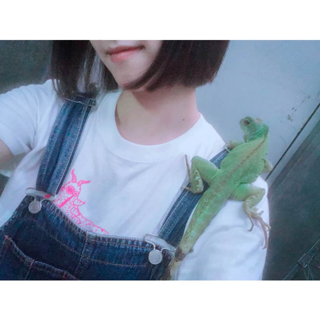 高松雪乃のインスタグラム