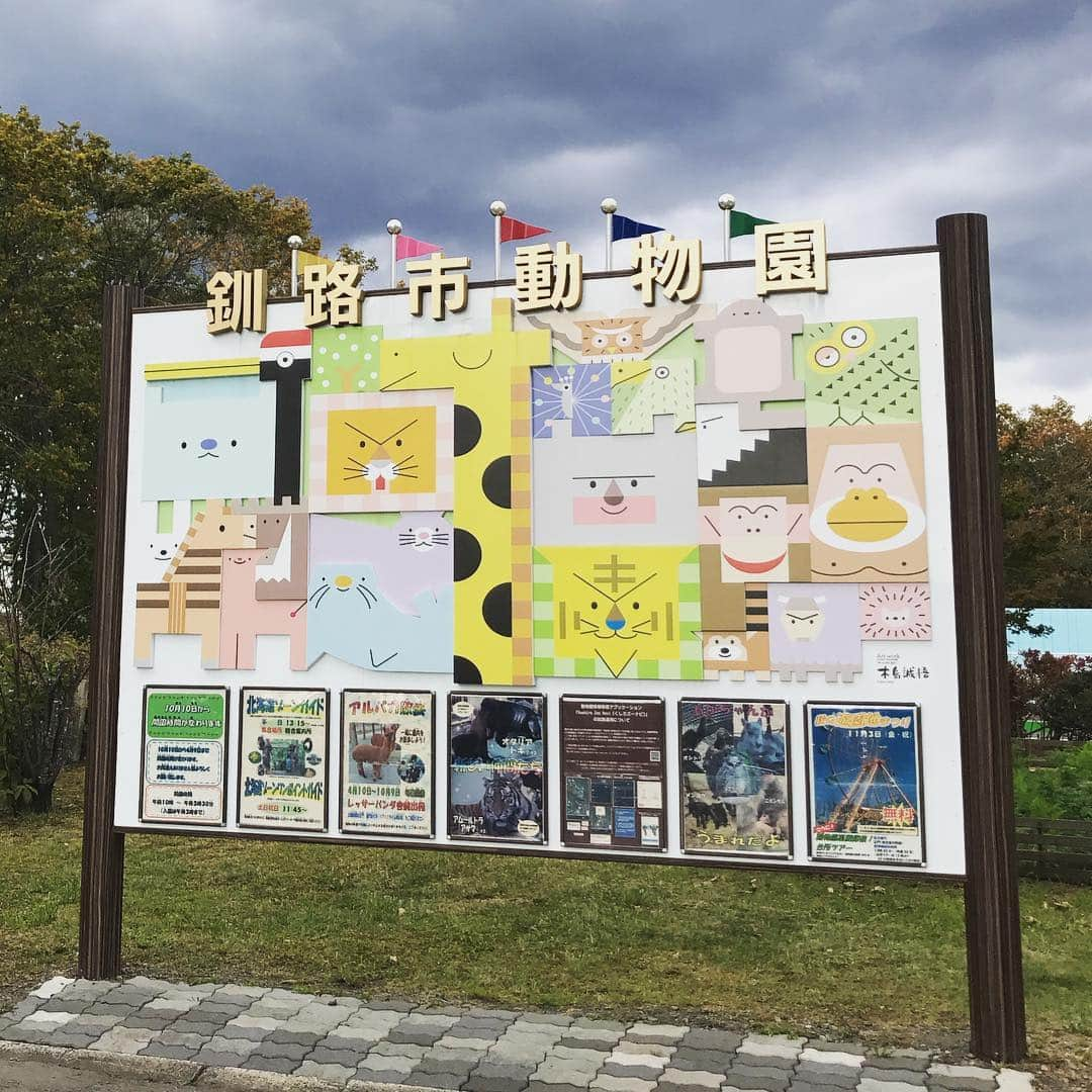 元井美貴さんのインスタグラム写真 - (元井美貴Instagram)「🐻🦊🐣 #釧路市動物園 #釧路 #動物園 #zoológico #kushirozoo #hokkaido」10月5日 9時48分 - mikimotoi