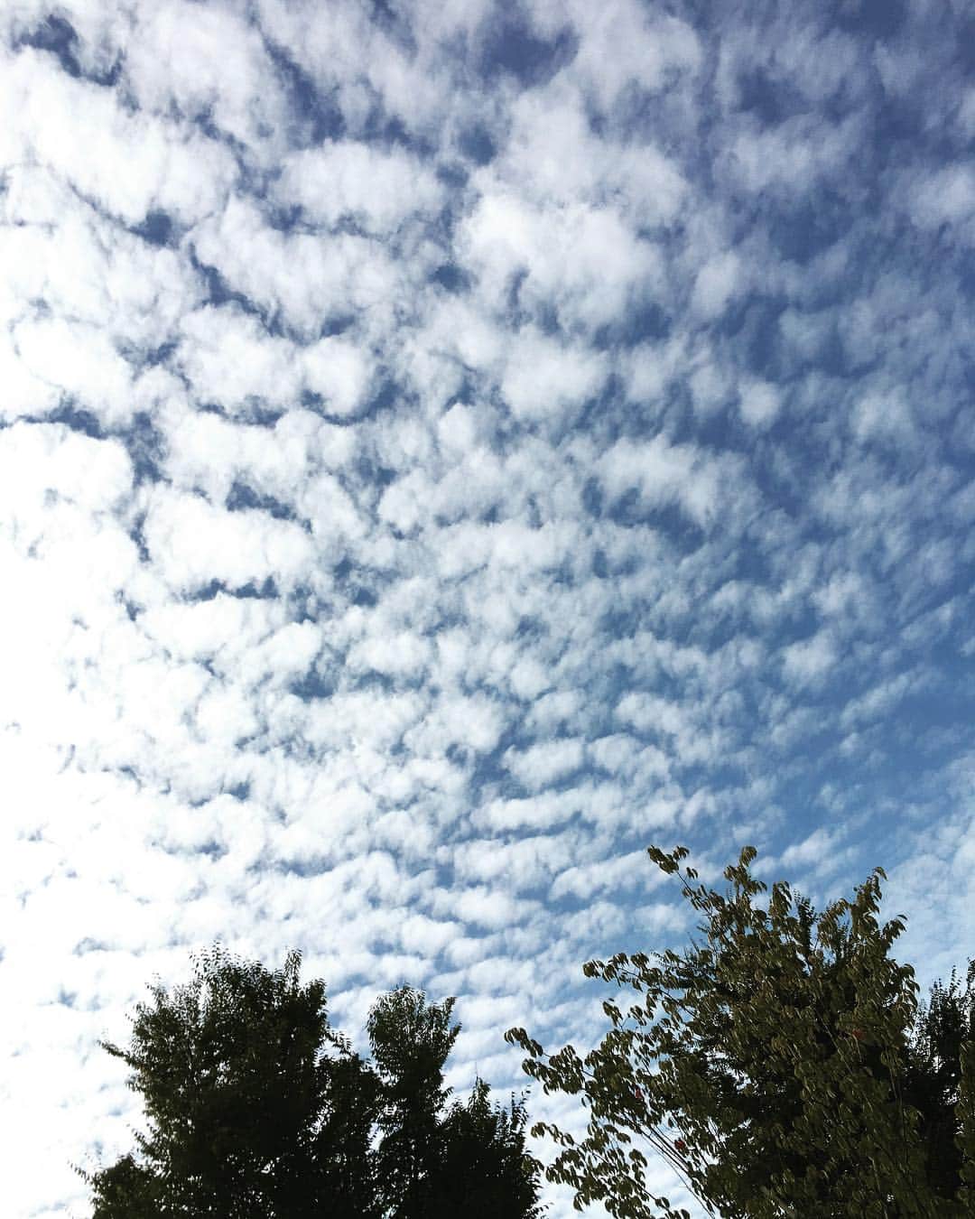 笛木優子さんのインスタグラム写真 - (笛木優子Instagram)「秋の空ですね。。 なんか寂しい。。。 良い1日を。。。(≧∀≦)」10月5日 14時25分 - yukofuekiyumin