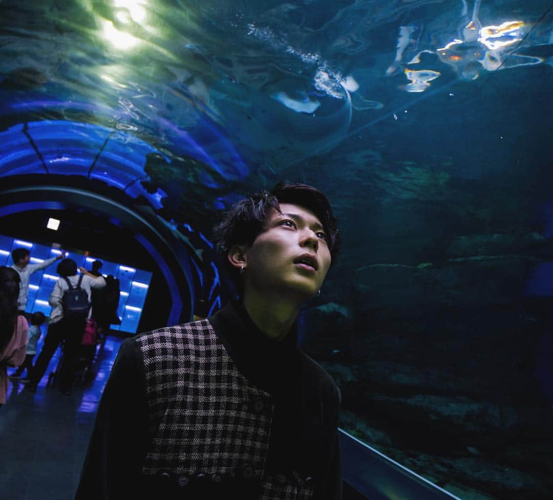 正宗幹也（みっき〜）さんのインスタグラム写真 - (正宗幹也（みっき〜）Instagram)「水族館🐟 水中の生き物は絶対勝てないから嫌いというか苦手というか怖い(;´ω｀) #水族館 #世界には愛しかない  #人間以外の動物になれるなら #分かる人には分かる #あの場所」10月5日 22時04分 - _mky_mky