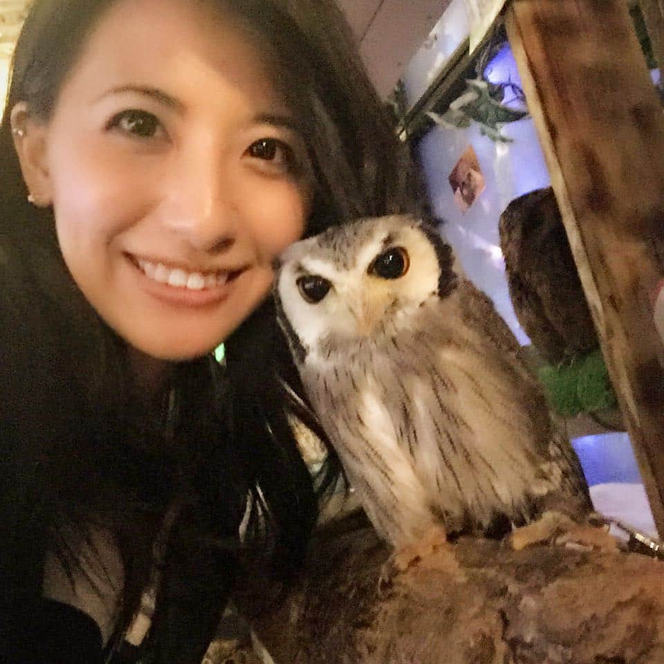 矢部あやのインスタグラム：「念願のフクロウカフェ♡ いろんな子がいて可愛かった(つω`*) ・ #owlcafe #フクロウカフェ #フクロウ」