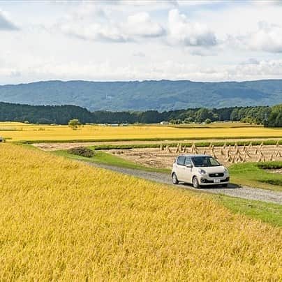 ニッポンレンタカー ウーマンレン活プロジェクト事務局のインスタグラム：「/ #車と風景 #稲穂の実る田んぼ #秋 #レン活フォト #レンタカー #ドライブ #女子旅 #boon #パウダリーベージュ #ドライブジェニック #ニッポンレンタカー #担当のお気に入り #nipponrentacar *  女性らしいベージュ色のレンタカー🚗 #秋色 の風景にマッチしました🌾  みなさまの#レン活フォト をお待ちしております😉」