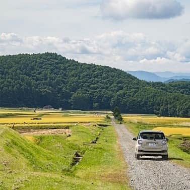 ニッポンレンタカー ウーマンレン活プロジェクト事務局のインスタグラム：「/ #車と風景 #田んぼ道 #秋 #レン活フォト #レンタカー #ドライブ #女子旅 #boon #パウダリーベージュ #ドライブジェニック #ニッポンレンタカー #nipponrentacar *  女性らしいベージュ色のレンタカー🚗 こちらは#backshot  みなさまの#レン活フォト をお待ちしております😃」