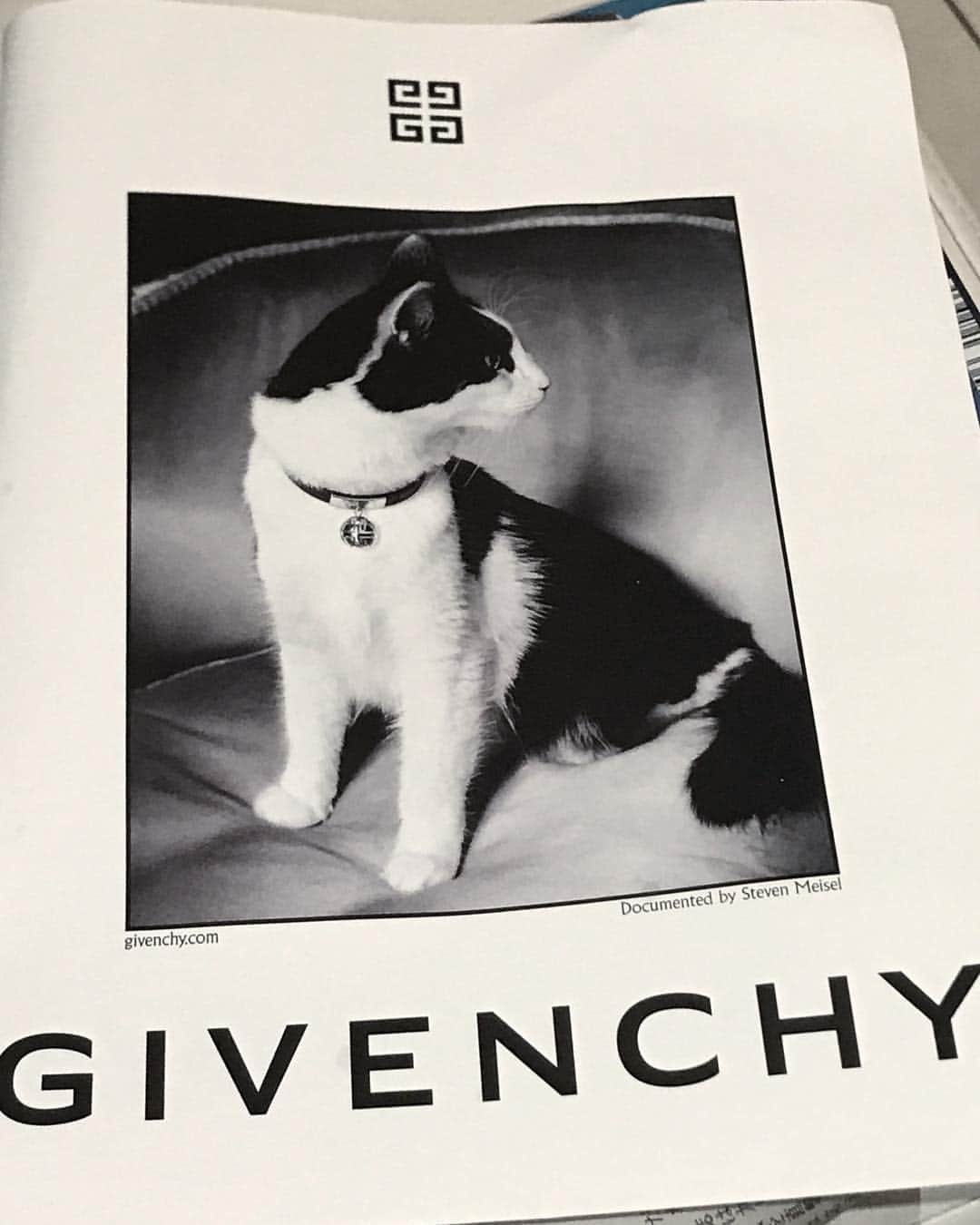 Taki Tanakaさんのインスタグラム写真 - (Taki TanakaInstagram)「#givenchy #ジパンシイ 可愛い猫ちゃんの首輪 #バイイング #早い者勝ち #❤️#pfw #pfwss18 #pfw18 #paris @iza_official #cat #catlover」10月7日 4時56分 - tanakataki