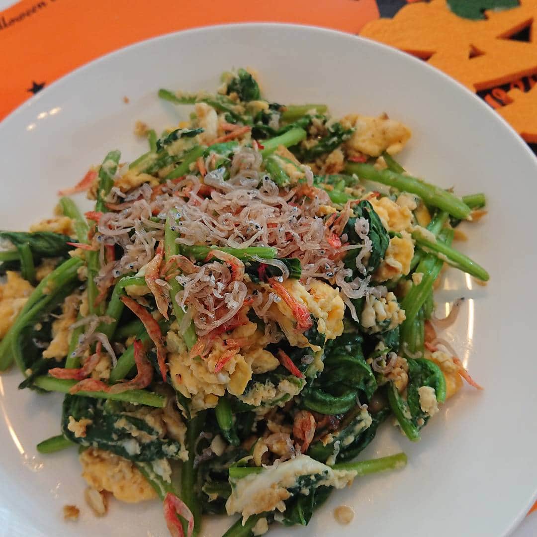 玉木碧さんのインスタグラム写真 - (玉木碧Instagram)「#余り物消費料理 #思いつき #ほうれん草と #卵と #桜エビと #じゃこを #のせただけ なかなかいける。 #セントフォース #玉木碧」10月7日 18時02分 - tamaki_aoi.official